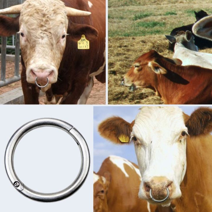 Cattle Bull Nose Ring Cattle Cow Nose Traction Clip Farming Equipment ...