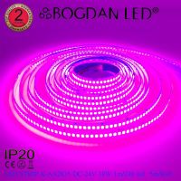 LED STRIP K-AA2835-240-PINK DC-24V IP20 240LED/1เมตร 18W/1เมตร ยี่ห้อ BOGDAN LED แอลอีดีไฟเส้น ชมพู 1,200LED/5เมตร 90W/5เมตร ไฟริบบอนแอลอีดี