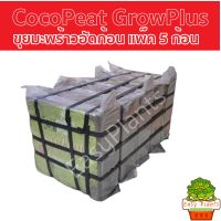 Coco Peat ขุยมะพร้าวอัดก้อน พร้อมใช้ โคโค่พีท วัสดุปลูก วัสดุเพาะชำ ขุยมะพร้าวปลูกกัญ วัสดุเพาะกล้า cocopeat soil Jumbo pack