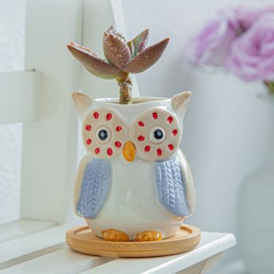 Ceramic Owl Flower Pot Succulent Pot Cute Animal Planter Home Decor Desktop Ornaments Bonsai Plant Pot Garden Decoration