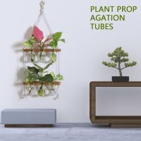 【LZ】ﺴ卐❖  Kit Estação De Propagação De Plantas Terrário De Dupla Camada De Plantas Suspensão Na Parede Novo Bulbo De Flor Com Suporte De Madeira Vaso De 6 Bulbos Novo