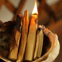 Palo Santo Natural Incense Sticks Wooden Smudging Stick Purifying Healing Stress Relief No Fragrance for Meditation Relaxation