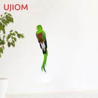 UJIOM Quetzal นกเขตร้อนที่แปลกใหม่ของอุปกรณ์ตกแต่งห้องนอนสติ๊กเกอร์ติดผนังสำนักงานบ้านรูปลอกติดผนังตกแต่งที่เปิดกล่อง