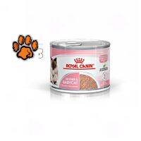 (ส่งฟรี)Royal Canin FHN Babycat Can สำหรับลูกแมวอายุ 1-4 เดือน แบบกระป๋อง