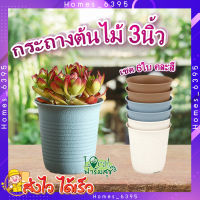 กระถางปลูกต้นไม้ ทรงกลม ใบเล็ก ? Tree O ขนาด 3นิ้ว (เซต 6ใบ) คละสี รุ่น 6PY057-MX กระถางต้นไม้ กระถาง กระถางพลาสติก อย่า