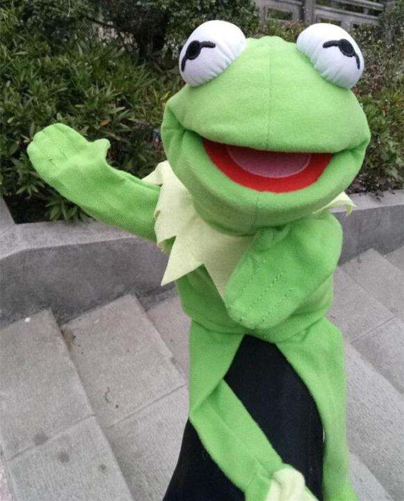 cw-the-muppets-show-kermit-frog-puppets-hand-puppet-plush-kid-39-s-gift-educational