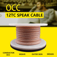 YYAUDIO 12TC Twist Cable OCC สายลำโพง HIFI Audio ลำโพงสายไฟ DIY 24 Strands