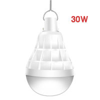 Solar Charging Bulb HouseholdLEDIndoor Emergency Light Lighting Stall Night Market Lamp Outdoor Camping Tent