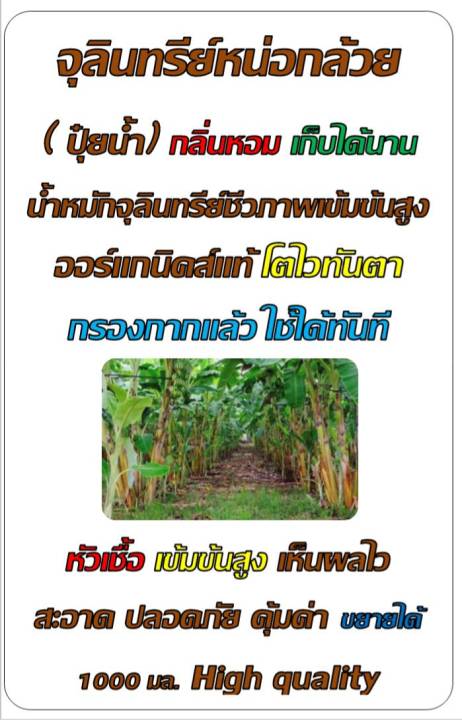 จุลินทรีย์หน่อกล้วย-6-ลิตร-สารอาหารพืชชนิดน้ำ-หัวเชื้อเข้มข้นสูง-ออร์แกนิคส์แท้-เร่งผลผลิตและทำให้ผลผลิตมีคุณภาพดี