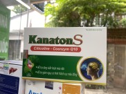 KanatonS hoạt huyết, tăng tuần hoàn máu não