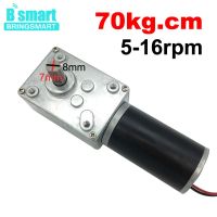 Worm Gear Motor 12V 24V Reversed 12-470rpm DC Motor High Torque 3.4-70kg Self-Lock For Curtain Machine Billboard Home Equipment Electric Motors