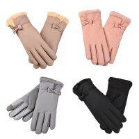 【CW】 Warm Women  39;s Gloves Fashion All Match Elastic Driving Outdoor Riding Windproof Mittens