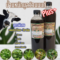 ปุ๋ยอินทรีย์ น้ำหมักชีวภาพ มูลวัวนม สูตรเข้มข้น #แตกรากเร็ว #ใบดก-ใหญ่ #ต้นใหญ่ #กระท่อม #ไม้ด่าง #บอนสี #ผัก