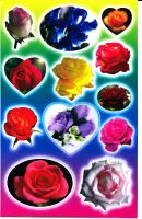 สติกเกอร์ดอกกุหลาบ ดอกไม้ น่ารัก สำหรับเด็ก พัฒนากล้ามเนื้อ และพื่นผิวที่ต้องการ Rose flower Sticker Film 1 Sheet 270 mm x 180 mm Weatherproof st314