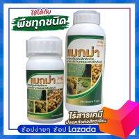 แมกม่า(MAXMA)ชุดแพ็คคู๋ 1ขวด1ลิตรและ 1ขวด 250ซีซี สารจับใบเกรดพรีเมี่ยมเร่งการดูดซึมอย่างรวดเร็วภายใน 1-3 วินาทีเสริมความแข็งแรงให้กับพืช