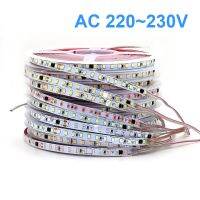 แถบโคมไฟบ้าน AC220V 230V 5M 600 2835 120 Led/m แถบน้ำแข็งแดงฟ้าสีเขียวเหลืองชมพูยืดหยุ่นและตัดได้แถบโคมไฟเพดานหลอดไฟ LED