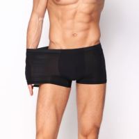 【CW】 Men Stretch Silk Seamless Transparent Shorts Thin Breathable Panties Underpants