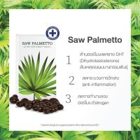 Saw palmetto ต้านฮอร์โมนต้นเหตุผมบางกรรมพันธุ์ สำหรับผู้ชาย