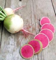 เมล็ดพันธุ์ เรดิชแตงโม (Watermelon Radish Seed) บรรจุ 100 เมล็ด คุณภาพดี ราคาถูก ของแท้ 100%