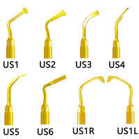 Denspay ทันตกรรม Piezosurgery เคล็ดลับสำหรับกระดูกตัดไซนัสยกรากเทียม UC1L UC1R UI5 UP2สำหรับ Mectron และนกหัวขวาน