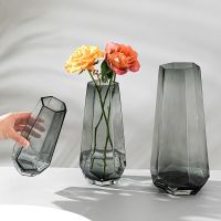 [COD] minimalist net red glass vase transparent creative water rose lily living room flower arrangement