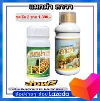 แมกม่า-ลาวา Maxma-Lawa (ชุดเล็ก) 2 ขวด สารจับใบแมกม่า บรรจุ 250 cc. และ ปุ๋ยน้ำลาวา บรรจุ 500 cc. เป็นชุดเล็กสุดคุ้ม