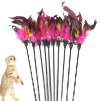 1pc  Hot Sale Cat Toys Random Color Make A Cat Stick Feather Black Coloured Pole Like Birds With Small Bell Toys