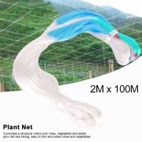 2X100M Garden Plant Fruit Trellis Support Net Plants Climbing Frame For Pea Flower Vine Netting Support Net Grow Trellis Netting