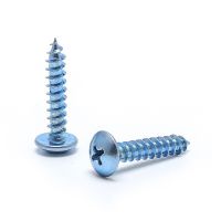 M4 M5 M6 10mm 12mm 16mm to 50mm Zinc Plated Carbon Steel Phillips Cross Recessed Round Truss Mushroom Head Self Tapping Screw Nails Screws  Fasteners