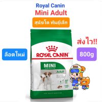 Royal Canin Mini Adult 800g สุนัขโต พันธุ์เล็ก ขนาด 800กรัม