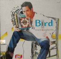 Cdเพลง? Bird ?ลิขสิทธิ์แท้