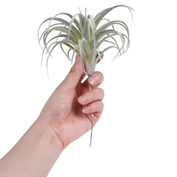 4Pack Artificial Pineapple Grass Air Plants Fake Flowers Faux Flocking  Tillandsia Bromeliads Home Garden Decor