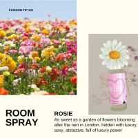 2 แถม1 (50 ml,)Room Spray รูมสเปรย์ สเปรย์ปรับอากาศ สเปรย์ห้องนอน ดับกลิ่น ฉีดผ้า แบรนด์Ro_SEPERFUME