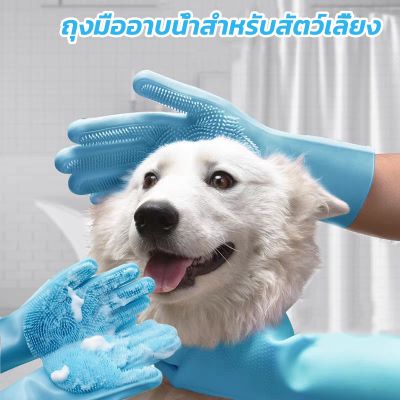 BHQ PET COD สัตว์เลี้ยงสุนัขแมวอาบน้ำถุงมือ แปรงสวมมือไว้ใช้อาบน้ำ อาบน้ำสัตว์เลี้ยง ถุงมือแปรงขน อาบน้ำสัตว์เลี้ยงแปรงขน