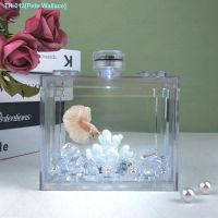 ✐ Thailand bettas aquariums acrylic product box small desktop landscape with lamp large turtles crab cylinder