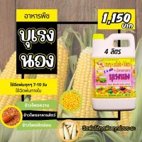 พร้อมส่ง? บุเรงนอง ขนาด 4 ลิตร อะมิโนพืช+สาหร่าย+ไคโตซาน+น้ำตาลทางด่วน อาหารพืช ใช้ฉีดพ่นทางใบ ฉีดพ่น ข้าวโพด