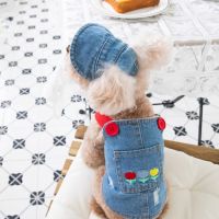 Fashion Embroidered Denim Dogs Skirt Plush Pet Clothes Cat and Dog Clothes Teddy Bear Coat Hat Dog Christmas Clothes Dog Dress Dresses