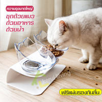 ชามใส่อาหารแมว Cat food bowl ชามแมว ชามอาหารแมว ชามให้อาหารแมว ชามแมวเอียง ชามแมวยกสูง ชามให้อาหารสุนัขสัตว์เลี้ยง ที่ให้อาหารแมว ชามแมว ชามหมา ชามปรับองศา ชามอาหารหมา ชามข้าวแมว ชามให้อาหารแมวแบบคู่ ชามใส่อาหารใส่น้ำ ชุดถ้วยแมว ชุดชามคู่ ที่ใส่อาหารแมว