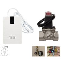 Electronic Solenoid Valve DN15 with Natural Gas Detector LPG LNG Propane Flammable Gas Sensor For Kitchen Alarm Kit Independent