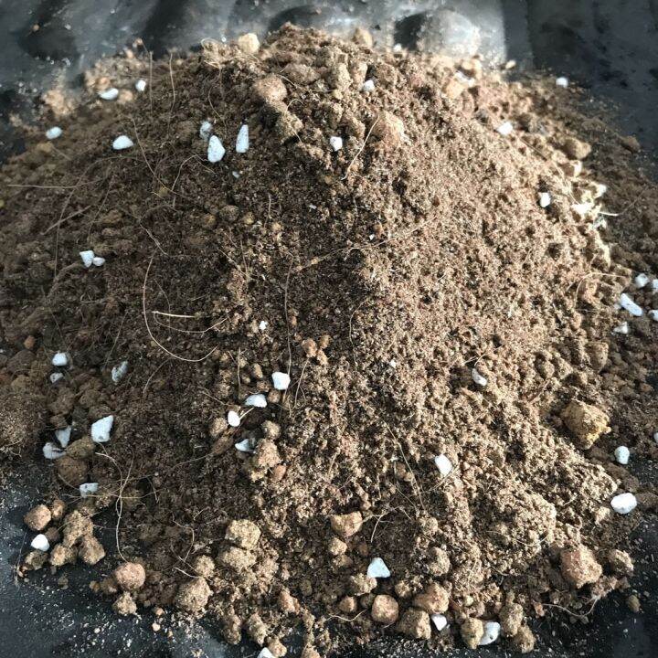 ROSE POTTING MIX TANAH BERBAJA ORGANIK UNTUK POKOK BUNGA ROS MAWAR