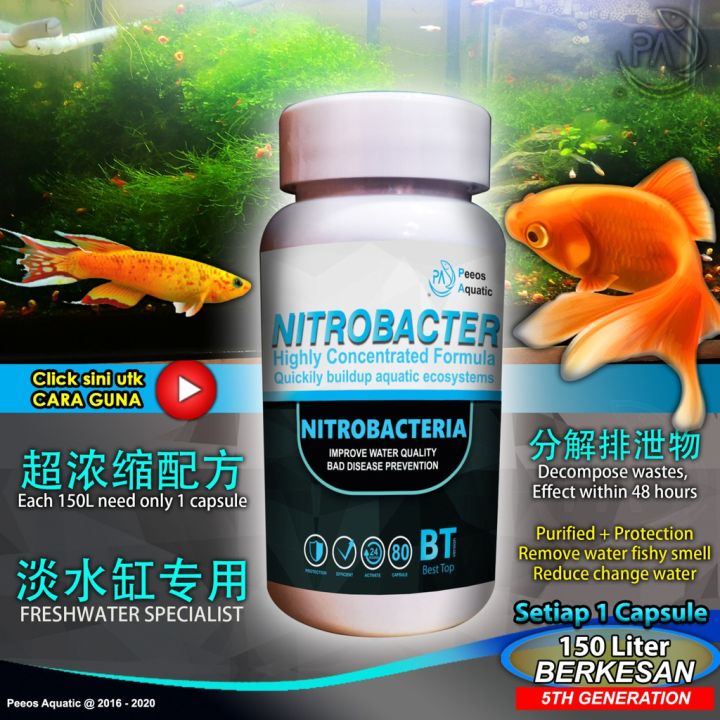 Malaysia Original PA Nitrobacter 5th Gen clear water fast aquarium ...