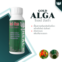 โกลด์ อัลกา - ฟื้นสภาพต้น และใบ หลังเก็บเกี่ยว ด้วยสารสกัดเข้มข้นจากสาหร่าย Spirulina | โกลบอลฮีล | (ขนาด 1 ลิตร)