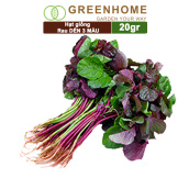 Hạt giống Rau Dền 3 màu, gói 20g , dễ trồng, thu hoạch nhanh R16 Greenhome
