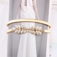 Gold Silver Women Belts for Dress Elegant Elastic Female Waist Belts This Ladies Belts for Women Waistband