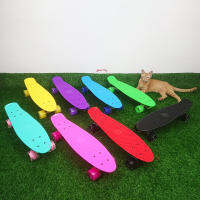 [?พร้อมส่ง]⚡Kid Skateboard ทรงเพนนี ล้อมีไฟ เลือกได้8สี น้ำหนักไม่เกิน 100kg