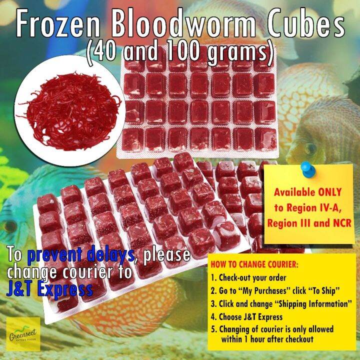 pet FROZEN BLOODWORM CUBES (WHOLESALE) fish food pet food Lazada PH