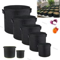 5gal 10gal fabric plant Grow Bags Pots fruit flower pot tools garden growing Vegetable big size potato veg Planting WDAGTH