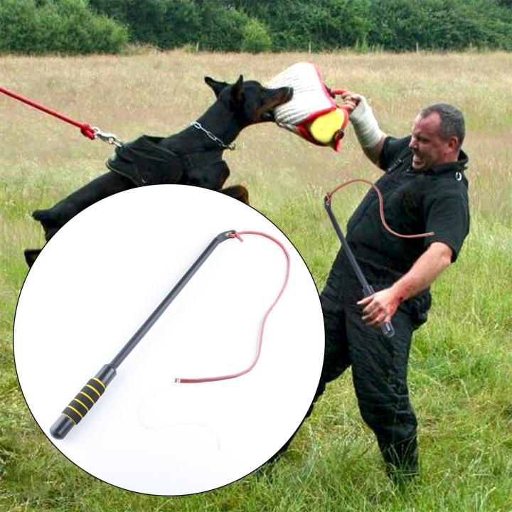 หนังสัตว์เลี้ยงการฝึกอบรมกวนจูงสำหรับสุนัขขนาดใหญ่ขนาดกลางม้าฝรั่งเศส