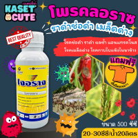 ? แถมฟรีเสื้อ 1 ตัว เจอราจ (โพรคลอราซ) ป้องกันเชื้อรา ใบไหม้ ใบจุด ราดำช่อดำ เมล็ดด่าง แอนแทรคโนส (500ซีซี)