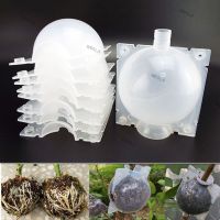 8cm Plant Rooting Grow Box Breeding Case 5pcs High Pressure Gardening Plant Root Device Ball for Garden Grafting 6TH